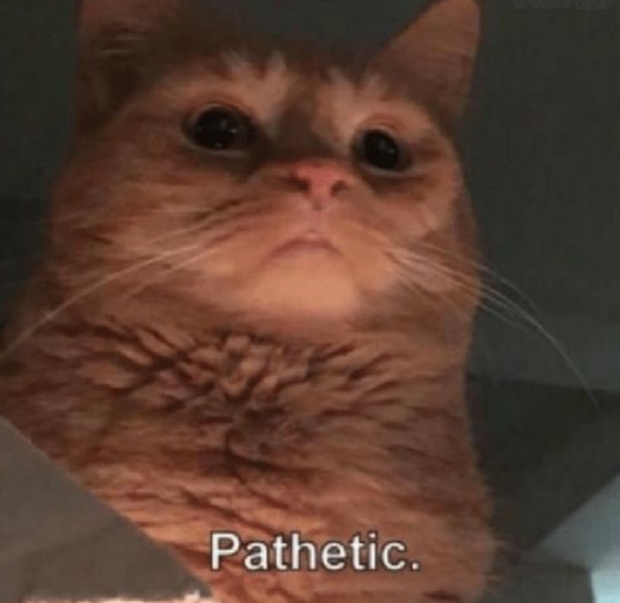 JmDYrPos5TqULEh8.jpg