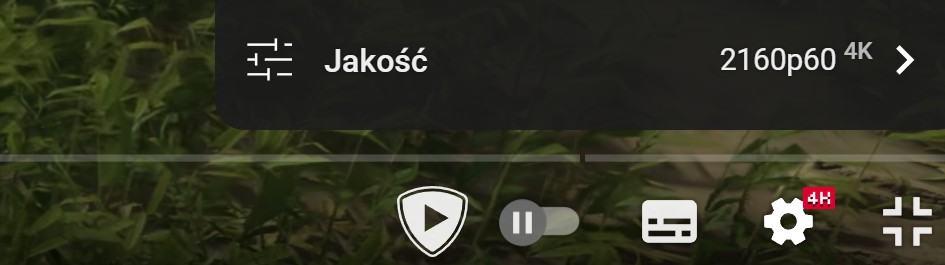 M5PwlHRakM8RcFBV.jpg