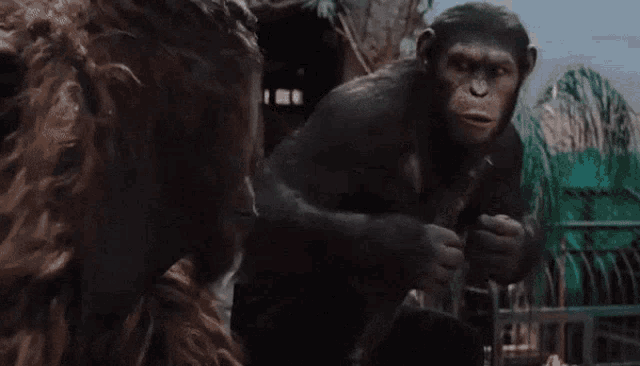 ZbyuPrmoo5Vv4SL5.gif