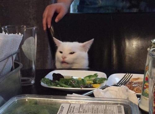 ldl9BnlQvth8f2Wd.jpg
