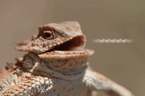 3sQ9dB9Bp2z0h3bR.gif