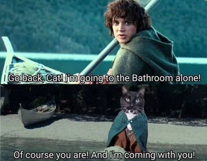 rNWvFdR9w8g0Jfd1.jpg