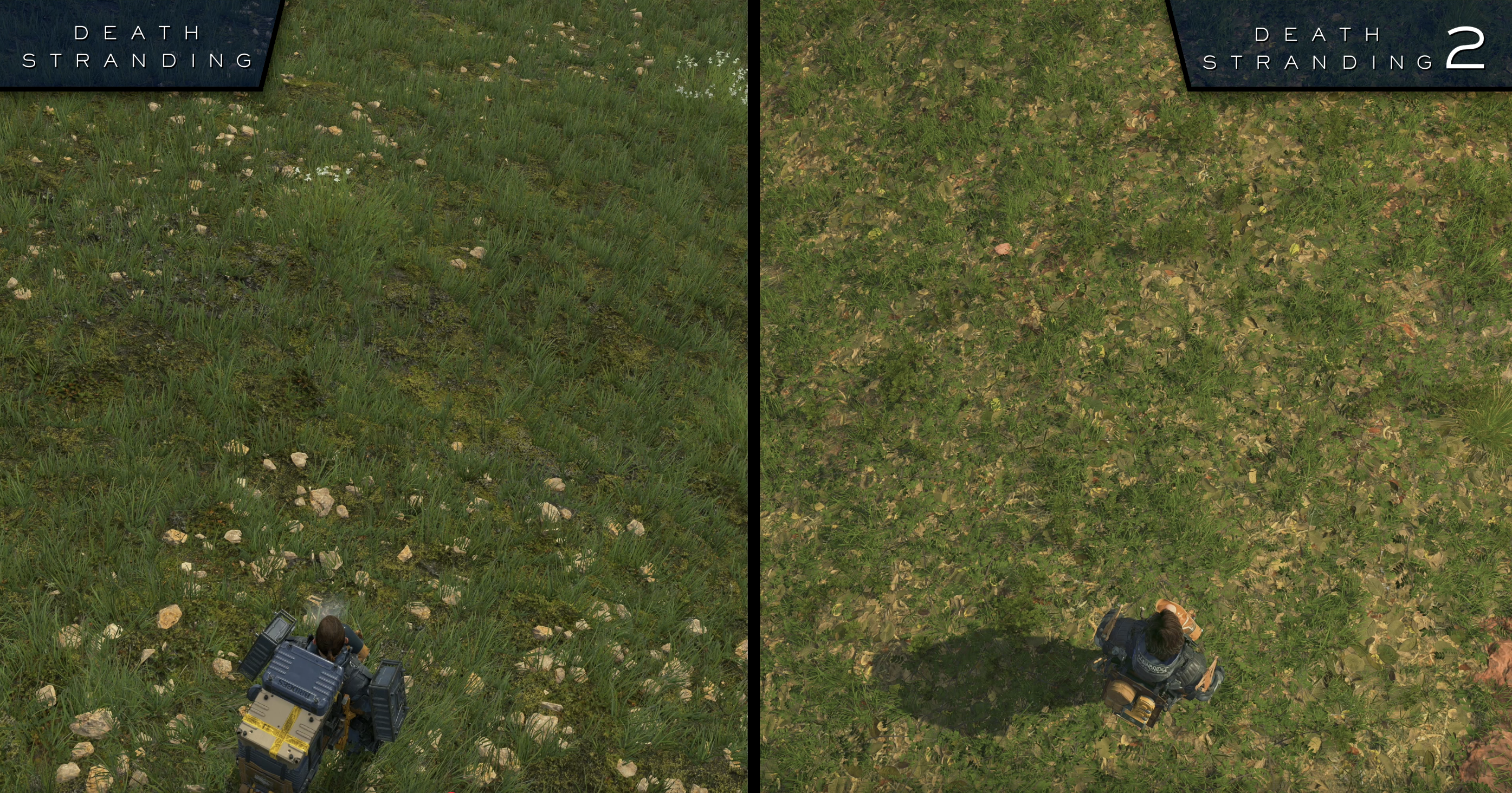 Qlui6ARmKIhWpDhB.png