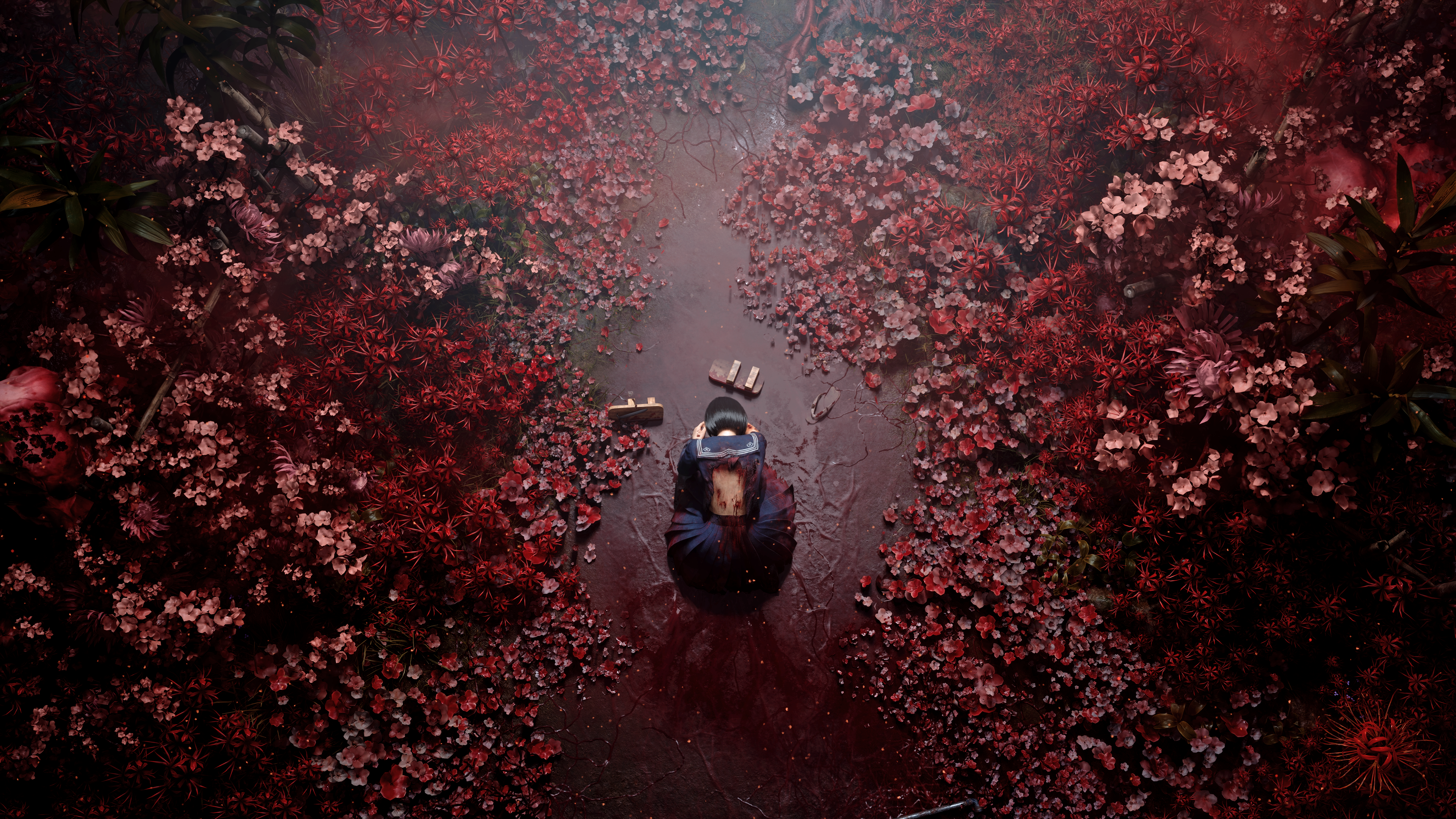 XmBmv4JRKnb88ibF.png
