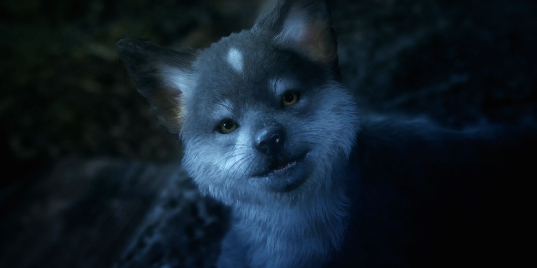 wPFfv3rCBEAwqw0n.png