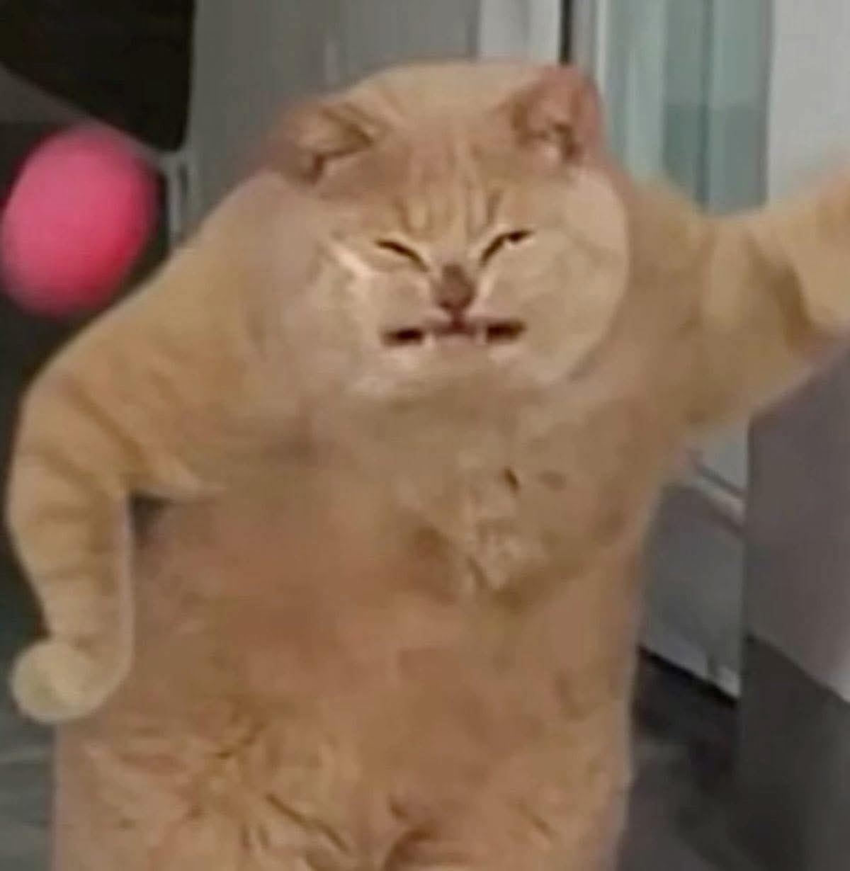 UAFuykbogpCvnCPb.jpeg