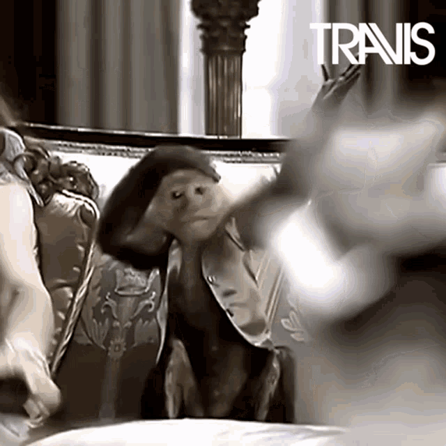 nk7c8Y5ODq4u34cJ.gif