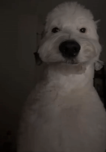 01iPrDzB9236jN2p.gif