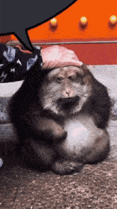 jIw8A1ixTbdfhmBU.gif