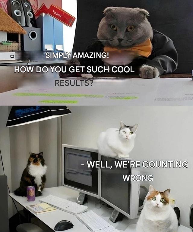 bjcWHe1heqMzd6LE.jpg