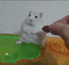 R9rM8AFzAWBzIqfH.gif