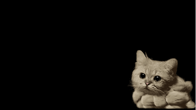 wvoekcLcVR0RWjbT.gif