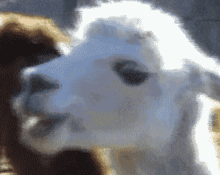 SUHcB0sdy5r9uy0M.gif