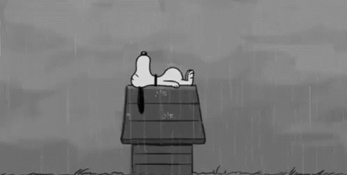 aAAP9s6tdwc2U924.gif