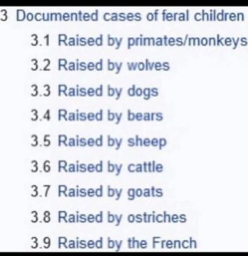 iYY6F543yWsFYciC.png