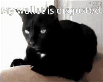 4pTZUItr8cCfFUNU.gif
