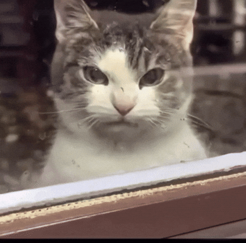 GxhkBTrjxhZkI8IO.gif