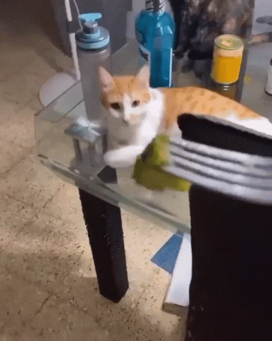 ZQ147GYA1JLwMw2t.gif