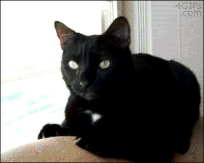 nSdX39G3KhQFR9Kd.gif