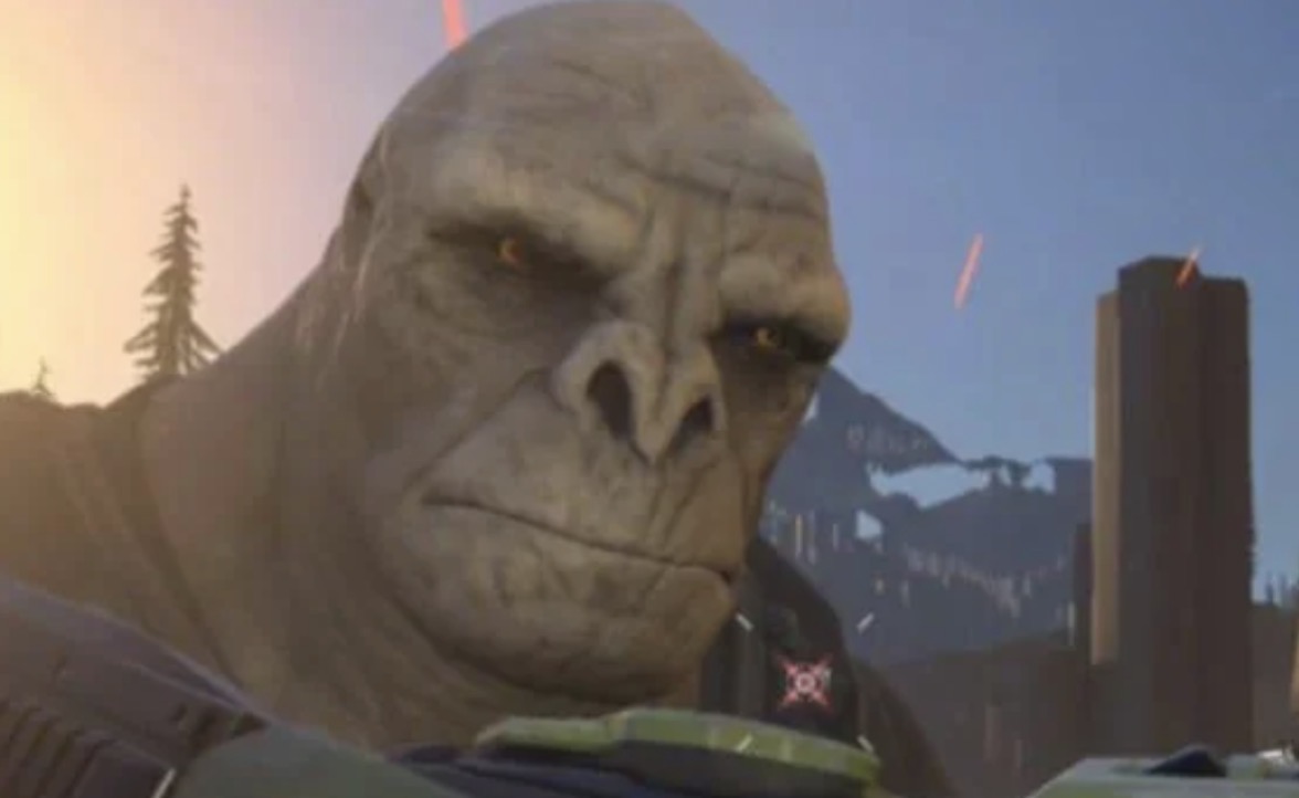 o5UXzLpAmgEoM3zD.jpeg