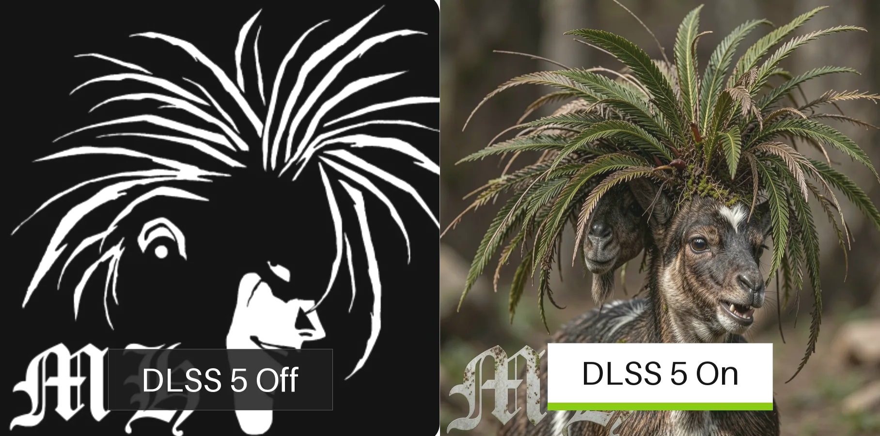 o3LS6kBMmpze31kf.jpg