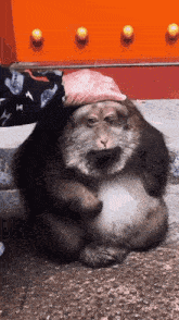 WIIODagcLlLdBNZP.gif