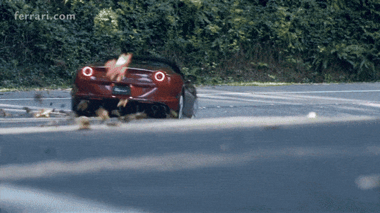 StEVUqfi2oLUQlkY.gif