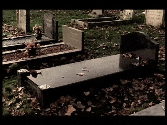 hktumcJFDlrKIp8N.gif