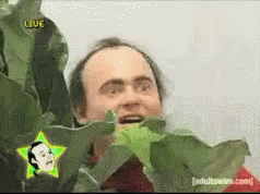 kWPhy8KTlLqJUgnw.gif