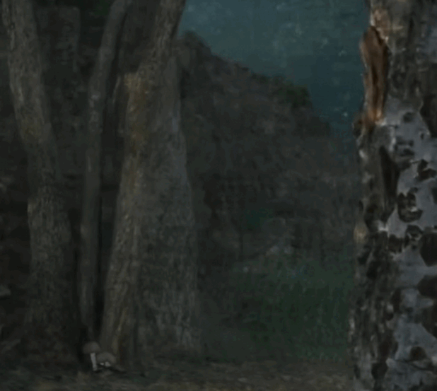 nbcapWsvhhGIxPYp.gif