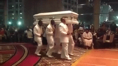 TgnH9dlIHRo6b9Jq.gif