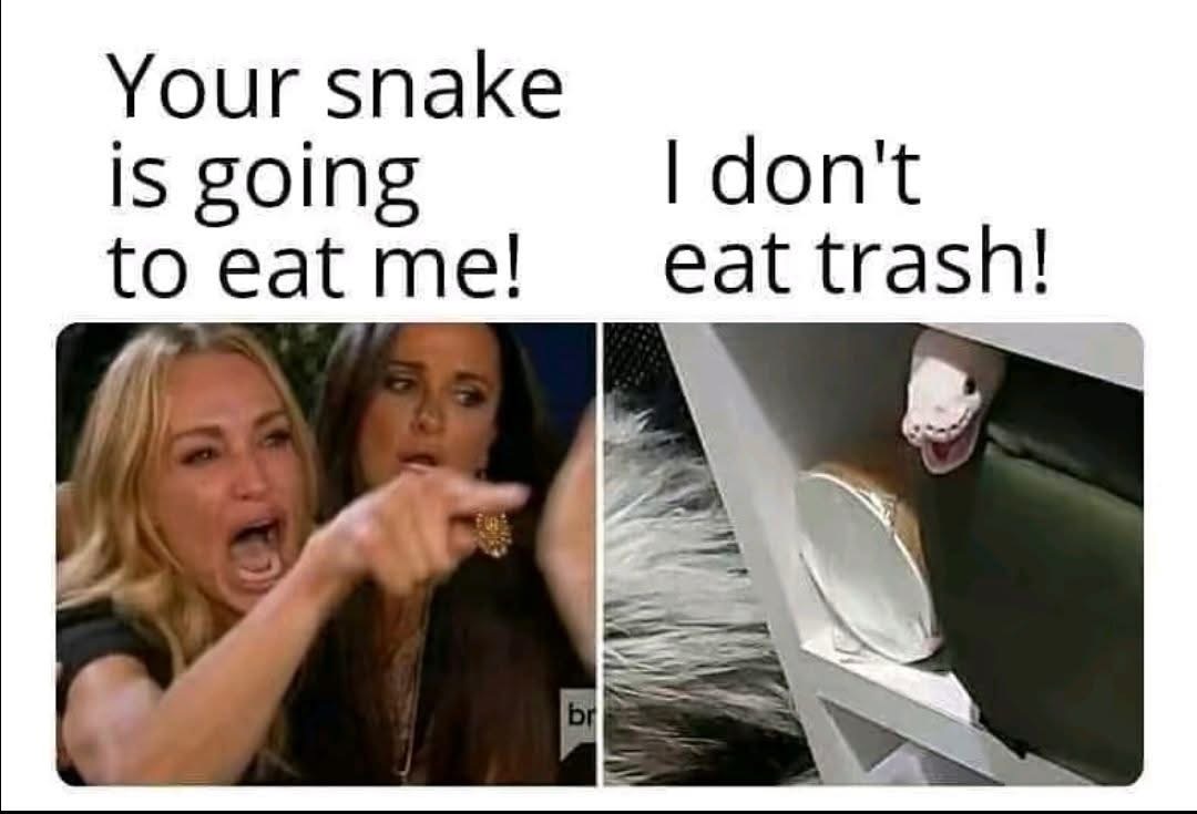 uw3Rc0Cxwd0JpTEz.jpeg