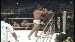 1dTHkxmwEY3fcS3X.gif