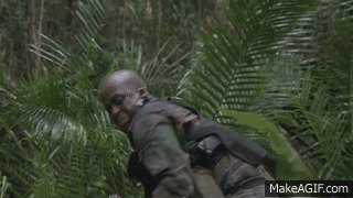 Ug6EuQlTVYFf0zBo.gif