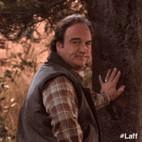 6bKHXTirSnthC1by.gif