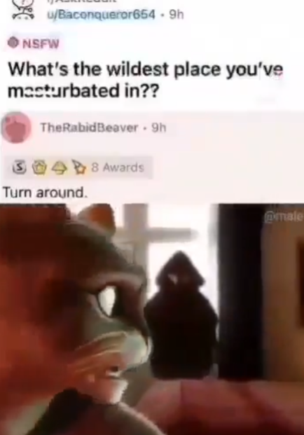 014nHqsCWJ2yxLdN.png