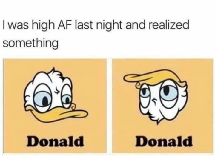 Bef2ZY6JkycYBxla.jpeg