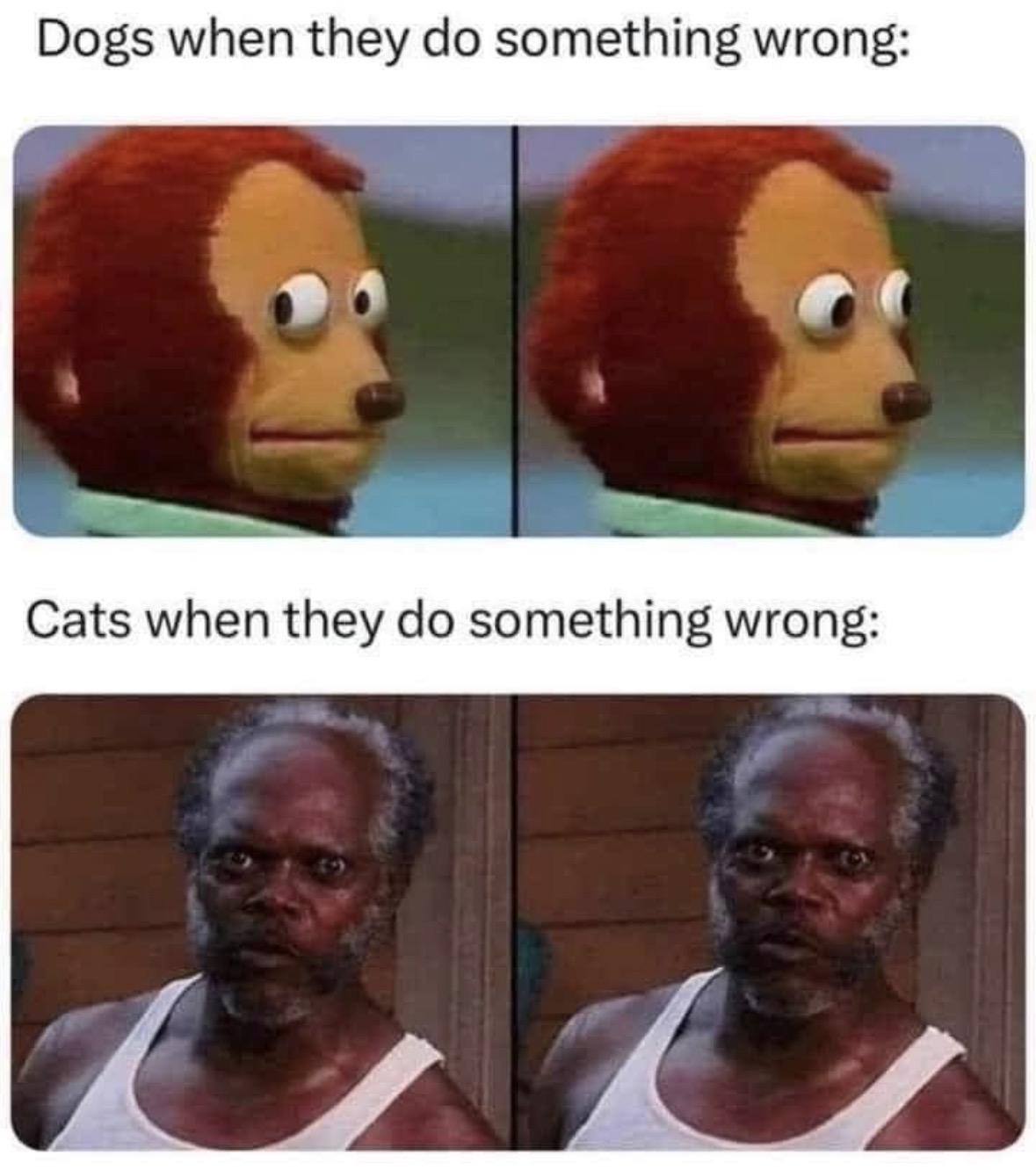 LkoRNi6EdohkgyOD.jpeg