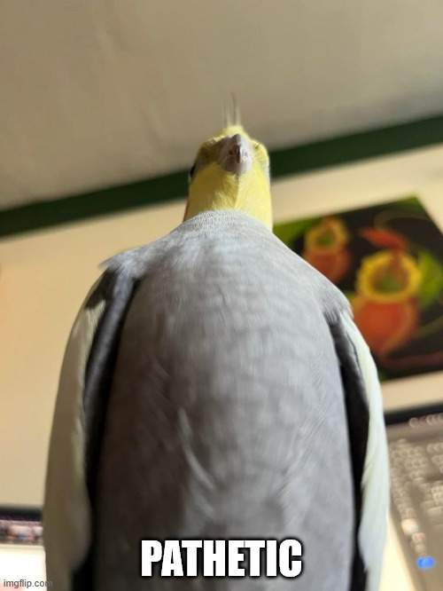 B7IMSmWRjkJhy1Gk.jpg