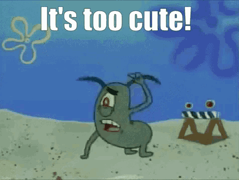 BcoqZvXflKEWtBK9.gif