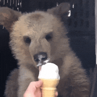 1MKO7SGyM6SecW4d.gif